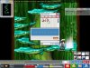 Maple0016.jpg