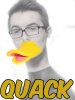 Jack Duck.jpg