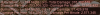 pb dpm.PNG