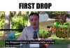 B6yvDD5 - Imgur.png
