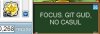 nocasul812coins.jpg
