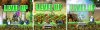 upload_2024-8-17_19-7-49.jpeg