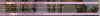body20.png