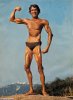 Skinny-Arnold-Schwarzenegger-20972_barbrothers.jpg