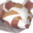 Akolix